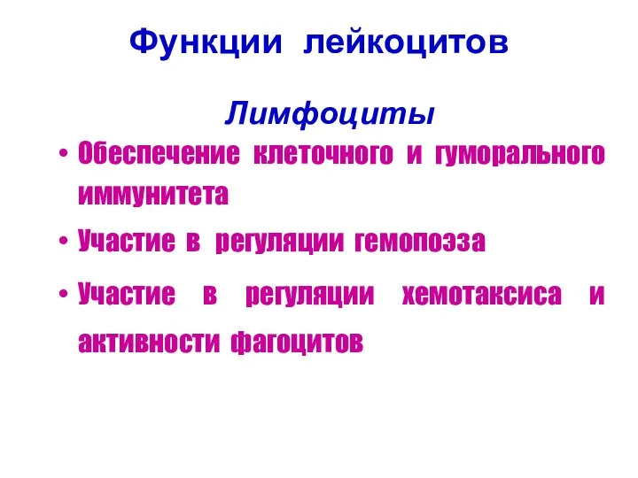 Лимфоциты Обеспечение клеточного и гуморального иммунитета Участие в регуляции гемопоэза Участие