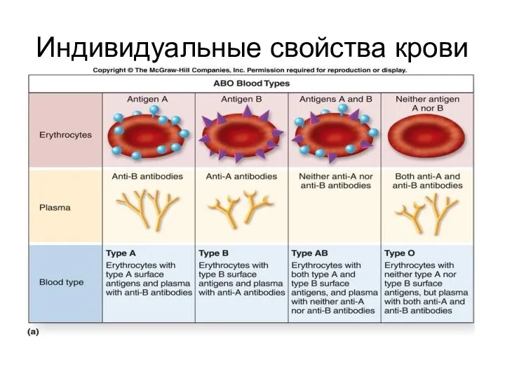 Индивидуальные свойства крови