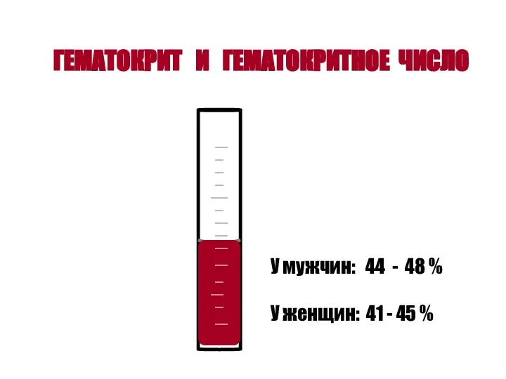 ГЕМАТОКРИТ И ГЕМАТОКРИТНОЕ ЧИСЛО У мужчин: 44 - 48 % У женщин: 41 - 45 %