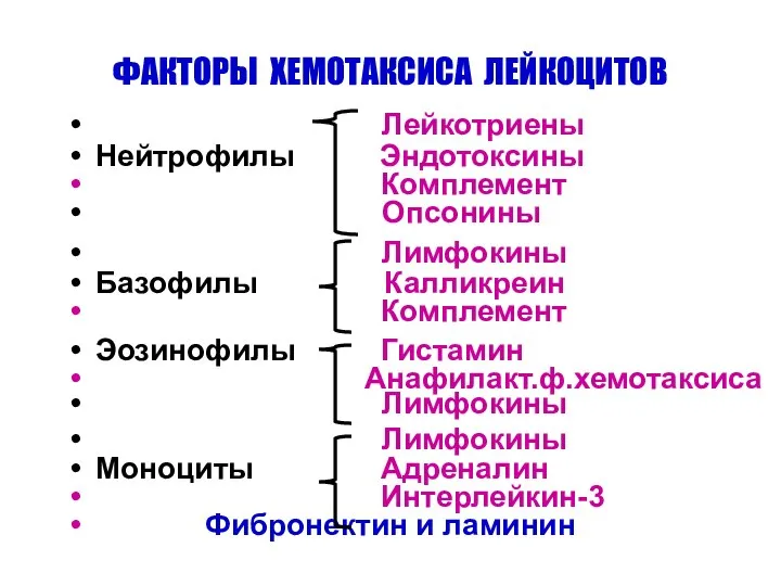 ФАКТОРЫ ХЕМОТАКСИСА ЛЕЙКОЦИТОВ Лейкотриены Нейтрофилы Эндотоксины Комплемент Опсонины Лимфокины Базофилы Калликреин