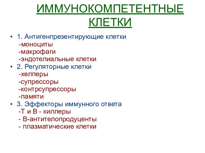 ИММУНОКОМПЕТЕНТНЫЕ КЛЕТКИ 1. Антигенпрезентирующие клетки -моноциты -макрофаги -эндотелиальные клетки 2. Регуляторные