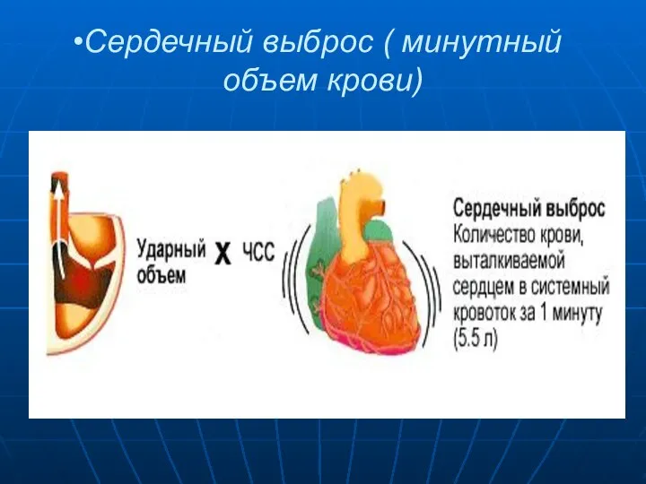 Сердечный выброс ( минутный объем крови)