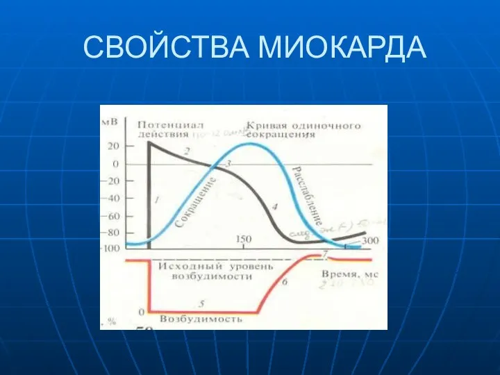 СВОЙСТВА МИОКАРДА