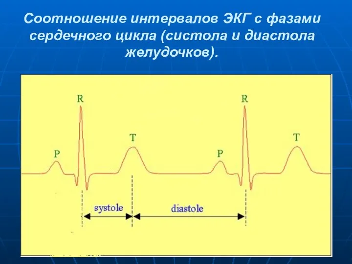 Соотношение интервалов ЭКГ с фазами сердечного цикла (систола и диастола желудочков).