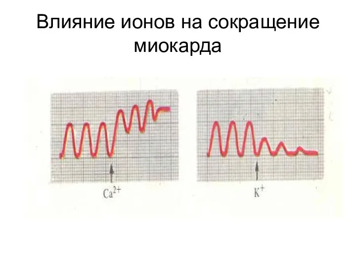 Влияние ионов на сокращение миокарда