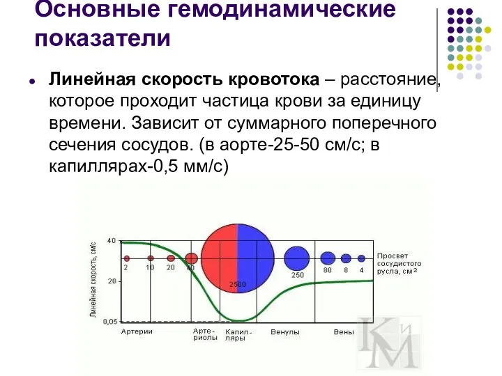 Основные гемодинамические показатели Линейная скорость кровотока – расстояние, которое проходит частица