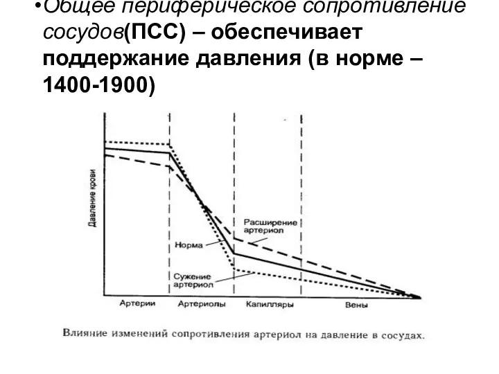 Общее периферическое сопротивление сосудов(ПСС) – обеспечивает поддержание давления (в норме – 1400-1900)