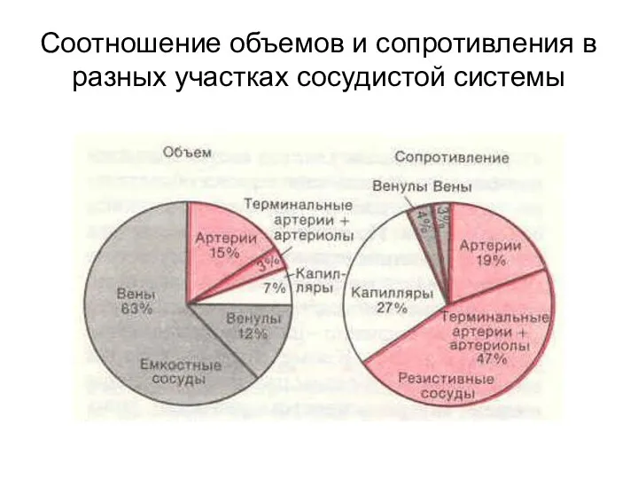 Соотношение объемов и сопротивления в разных участках сосудистой системы