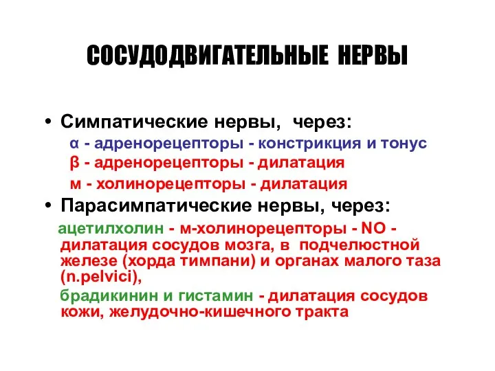 СОСУДОДВИГАТЕЛЬНЫЕ НЕРВЫ Симпатические нервы, через: α - адренорецепторы - констрикция и