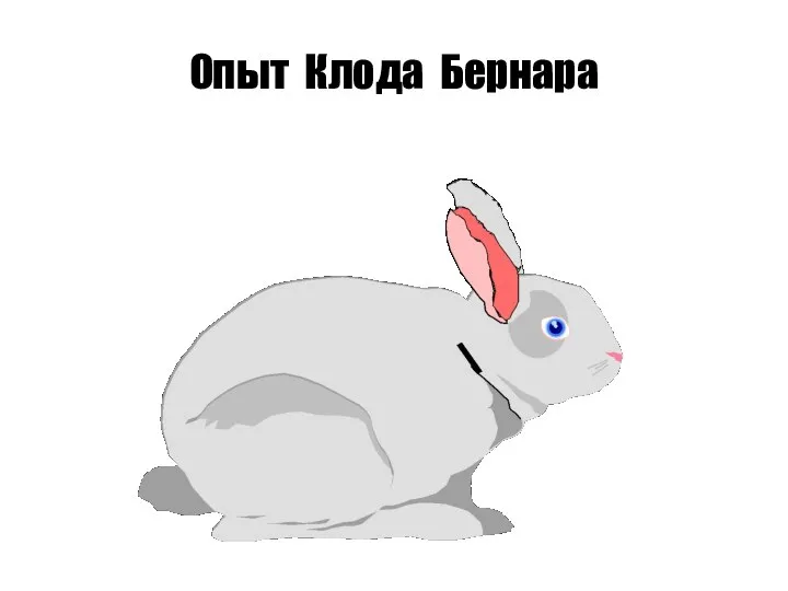 Опыт Клода Бернара