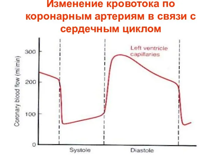 Изменение кровотока по коронарным артериям в связи с сердечным циклом