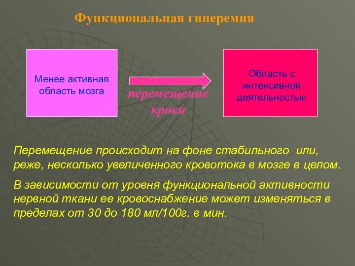 Функциональная гиперемия Менее активная область мозга Область с интенсивной деятельностью перемещение