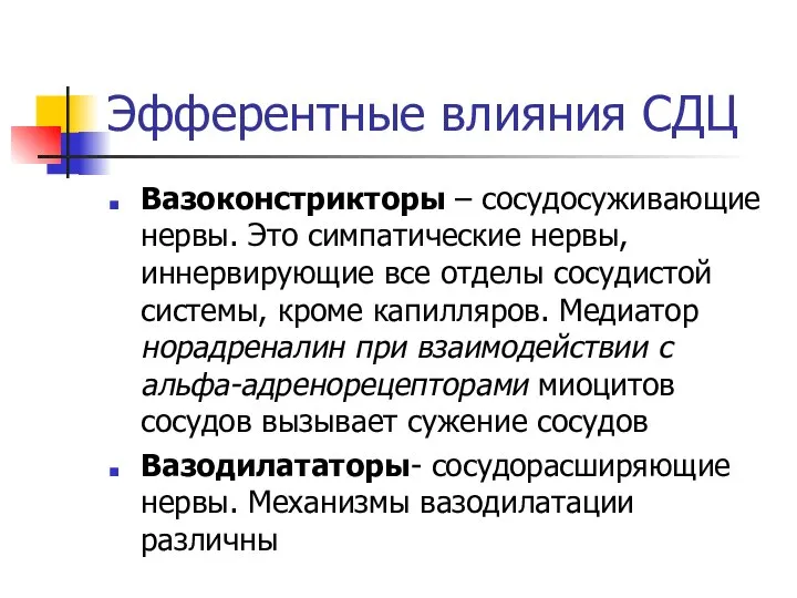 Эфферентные влияния СДЦ Вазоконстрикторы – сосудосуживающие нервы. Это симпатические нервы, иннервирующие