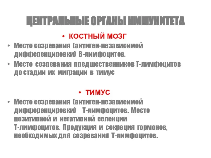 ЦЕНТРАЛЬНЫЕ ОРГАНЫ ИММУНИТЕТА КОСТНЫЙ МОЗГ Место созревания (антиген-независимой дифференцировки) В-лимфоцитов. Место