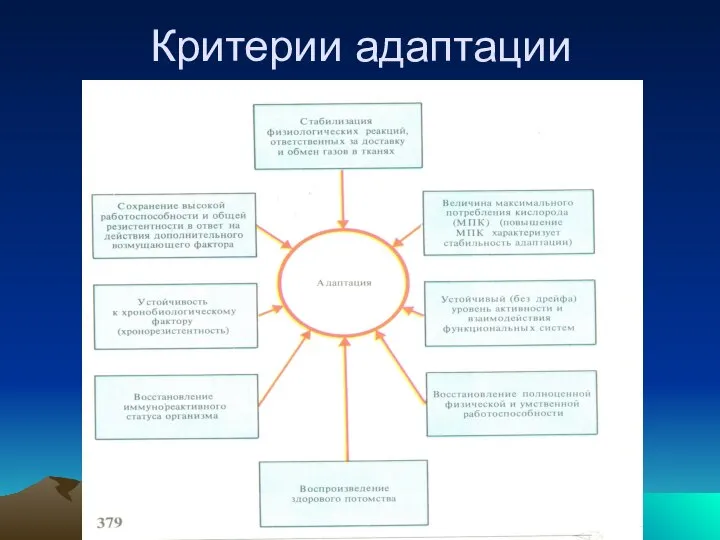 Критерии адаптации