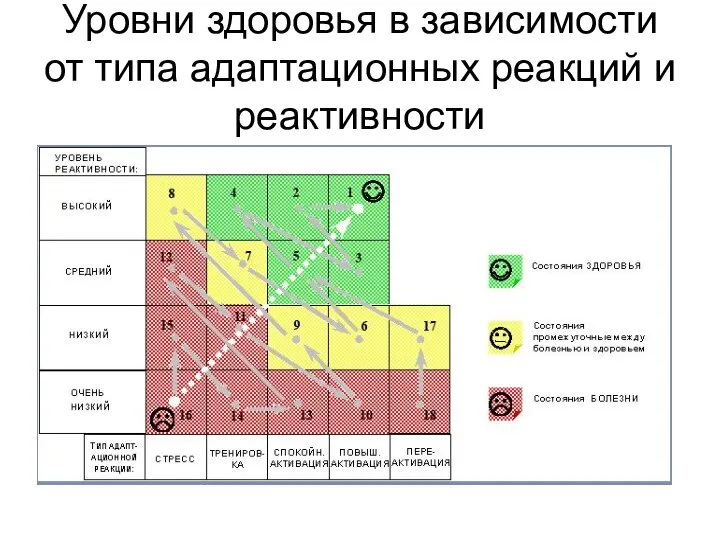 Уровни здоровья в зависимости от типа адаптационных реакций и реактивности