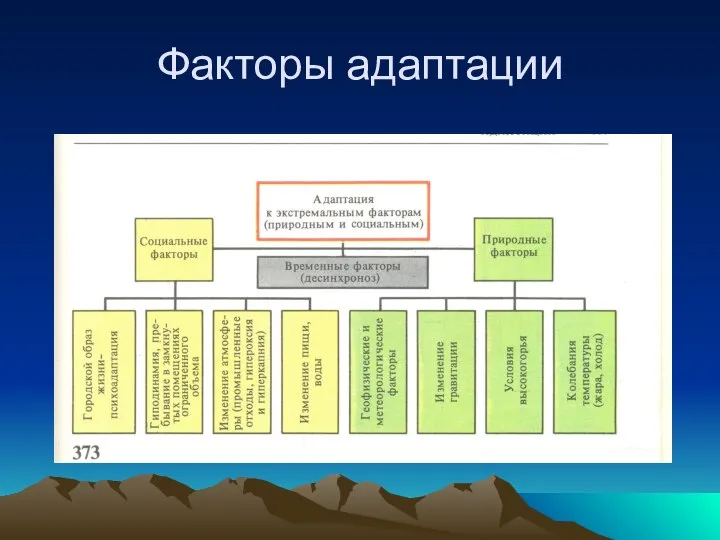 Факторы адаптации