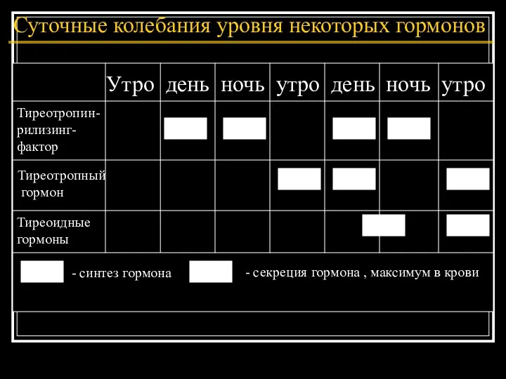 Суточные колебания уровня некоторых гормонов Утро день ночь утро день ночь