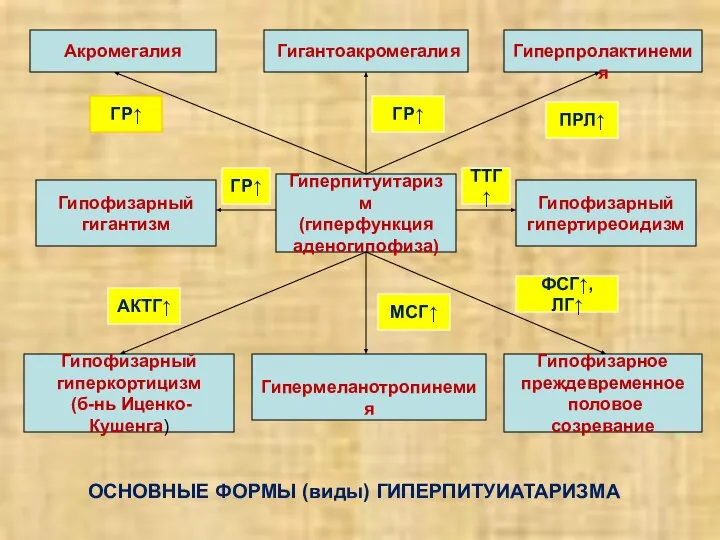 ОСНОВНЫЕ ФОРМЫ (виды) ГИПЕРПИТУИАТАРИЗМА Акромегалия Гигантоакромегалия Гиперпролактинемия Гипофизарный гипертиреоидизм Гипофизарный гигантизм