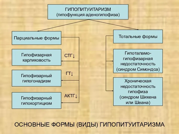 ОСНОВНЫЕ ФОРМЫ (ВИДЫ) ГИПОПИТУИТАРИЗМА ГИПОПИТУИТАРИЗМ (гипофункция аденогипофиза) Парциальные формы Гипофизарная карликовость