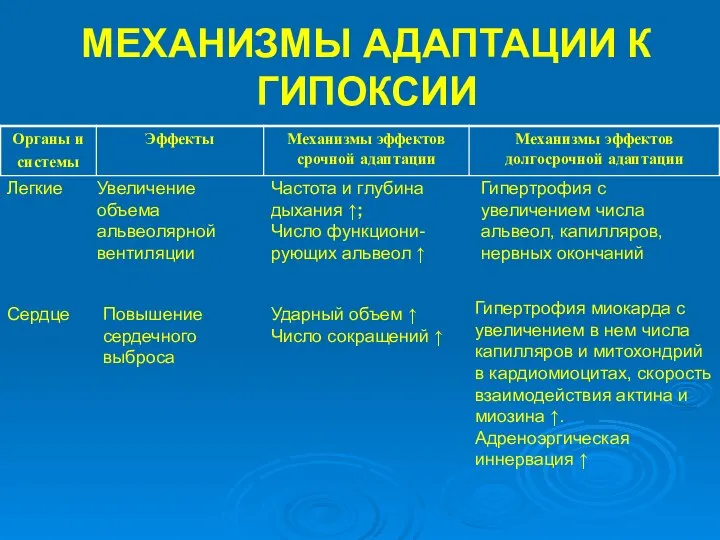 МЕХАНИЗМЫ АДАПТАЦИИ К ГИПОКСИИ Легкие Увеличение объема альвеолярной вентиляции Частота и