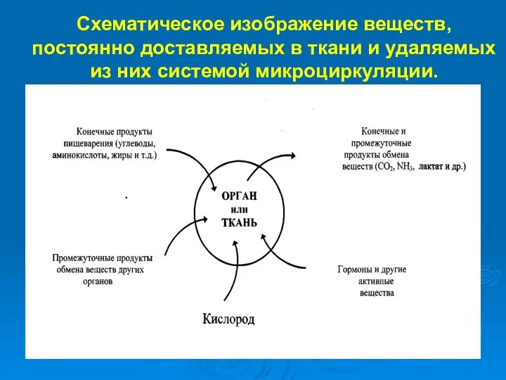 Схематическое изображение веществ, постоянно доставляемых в ткани и удаляемых из них системой микроциркуляции.