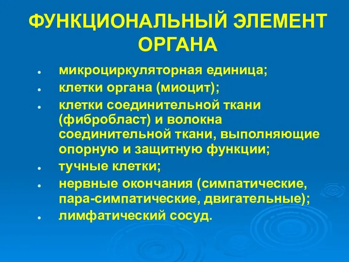 ФУНКЦИОНАЛЬНЫЙ ЭЛЕМЕНТ ОРГАНА микроциркуляторная единица; клетки органа (миоцит); клетки соединительной ткани