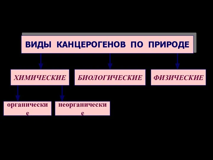 ВИДЫ КАНЦЕРОГЕНОВ ПО ПРИРОДЕ