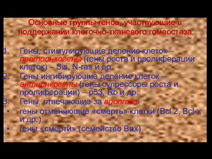 Основные группы генов, участвующие в поддержании клеточно-тканевого гомеостаза Гены, стимулирующие деление