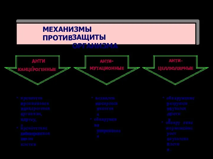 МЕХАНИЗМЫ ПРОТИВООПУХОЛЕВОЙ ЗАЩИТЫ ОРГАНИЗМА АНТИ- КАНЦЕРОГЕННЫЕ АНТИ- МУТАЦИОННЫЕ АНТИ- ЦЕЛЛЮЛЯРНЫЕ