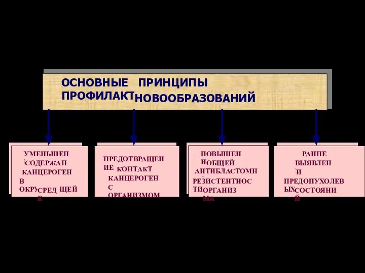 ОСНОВНЫЕ ПРИНЦИПЫ ПРОФИЛАКТИКИ НОВООБРАЗОВАНИЙ ПРЕДОТВРАЩЕНИЕ КОНТАКТА КАНЦЕРОГЕНОВ С ОРГАНИЗМОМ УМЕНЬШЕНИЕ СОДЕРЖАНИЯ