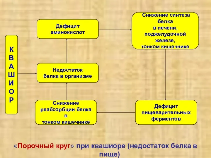 «Порочный круг» при квашиоре (недостаток белка в пище) Дефицит аминокислот К