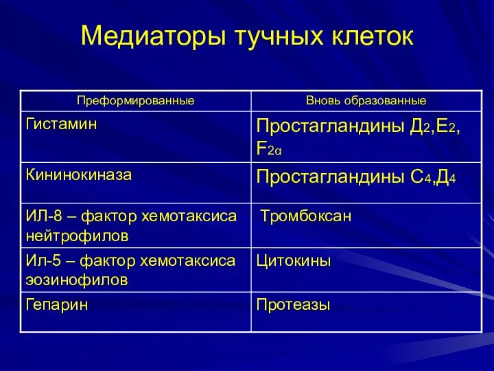 Медиаторы тучных клеток