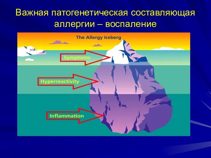 Важная патогенетическая составляющая аллергии – воспаление