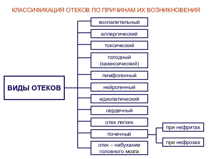 КЛАССИФИКАЦИЯ ОТЕКОВ ПО ПРИЧИНАМ ИХ ВОЗНИКНОВЕНИЯ ВИДЫ ОТЕКОВ воспалительный аллергический токсический