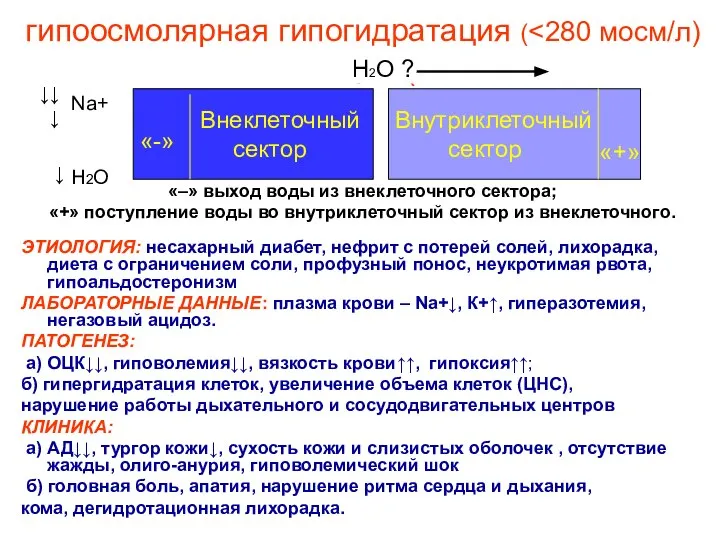 гипоосмолярная гипогидратация ( «–» выход воды из внеклеточного сектора; «+» поступление