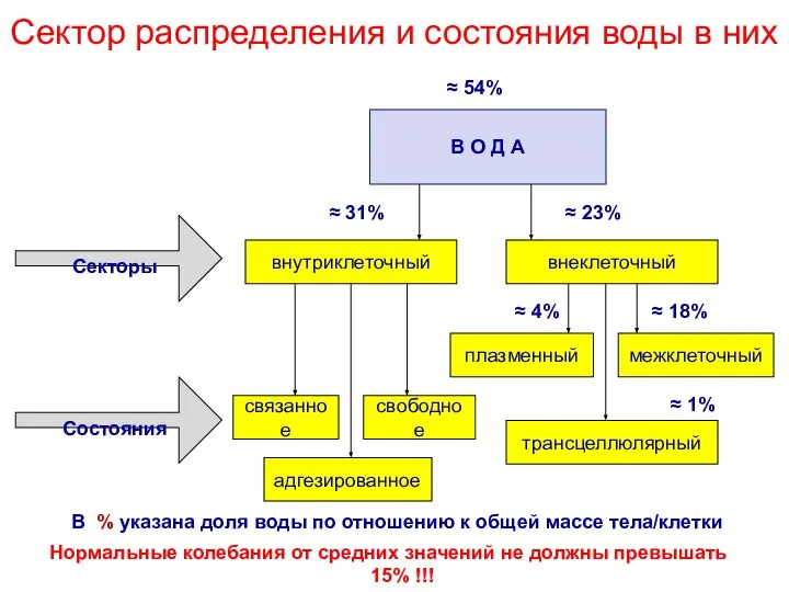 Сектор распределения и состояния воды в них Нормальные колебания от средних