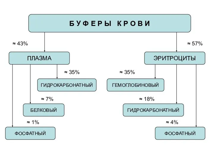 Б У Ф Е Р Ы К Р О В И