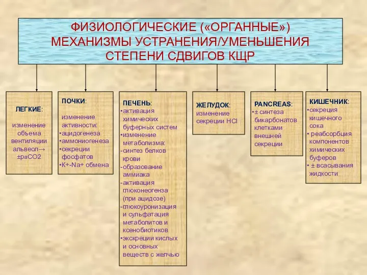 ФИЗИОЛОГИЧЕСКИЕ («ОРГАННЫЕ») МЕХАНИЗМЫ УСТРАНЕНИЯ/УМЕНЬШЕНИЯ СТЕПЕНИ СДВИГОВ КЩР ЛЕГКИЕ: изменение объема вентиляции