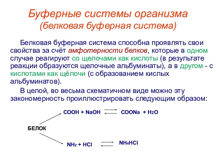 Буферные системы организма (белковая буферная система) Белковая буферная система способна проявлять