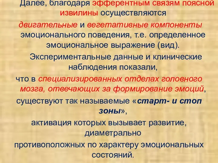 Далее, благодаря эфферентным связям поясной извилины осуществляются двигательные и вегетативные компоненты