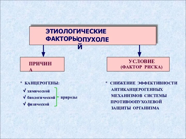 ЭТИОЛОГИЧЕСКИЕ ФАКТОРЫ ОПУХОЛЕЙ ПРИЧИНА УСЛОВИЕ (ФАКТОР РИСКА)