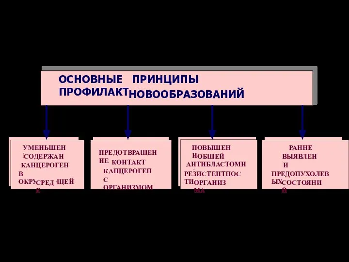 ОСНОВНЫЕ ПРИНЦИПЫ ПРОФИЛАКТИКИ НОВООБРАЗОВАНИЙ ПРЕДОТВРАЩЕНИЕ КОНТАКТА КАНЦЕРОГЕНОВ С ОРГАНИЗМОМ УМЕНЬШЕНИЕ СОДЕРЖАНИЯ