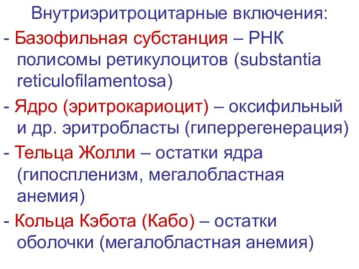 Внутриэритроцитарные включения: - Базофильная субстанция – РНК полисомы ретикулоцитов (substantia reticulofilamentosa)