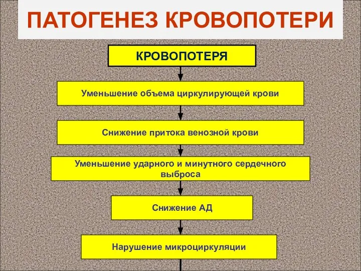 ПАТОГЕНЕЗ КРОВОПОТЕРИ КРОВОПОТЕРЯ Уменьшение объема циркулирующей крови Снижение притока венозной крови