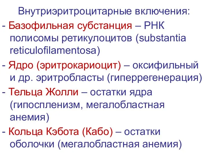 Внутриэритроцитарные включения: - Базофильная субстанция – РНК полисомы ретикулоцитов (substantia reticulofilamentosa)