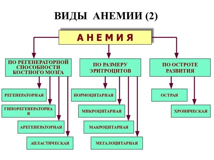 ВИДЫ АНЕМИИ (2) А Н Е М И Я