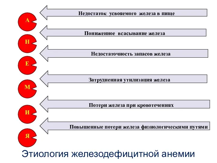 Этиология железодефицитной анемии Недостаток усвояемого железа в пище А Е Пониженное