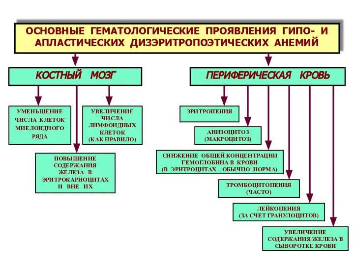 ОСНОВНЫЕ ГЕМАТОЛОГИЧЕСКИЕ ПРОЯВЛЕНИЯ ГИПО- И АПЛАСТИЧЕСКИХ ДИЗЭРИТРОПОЭТИЧЕСКИХ АНЕМИЙ