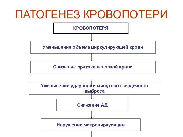 ПАТОГЕНЕЗ КРОВОПОТЕРИ КРОВОПОТЕРЯ Уменьшение объема циркулирующей крови Снижение притока венозной крови